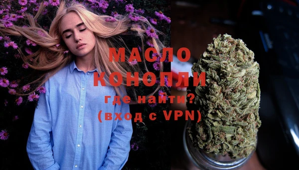 стаф Вяземский
