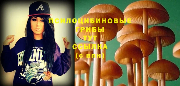 соль ск Володарск