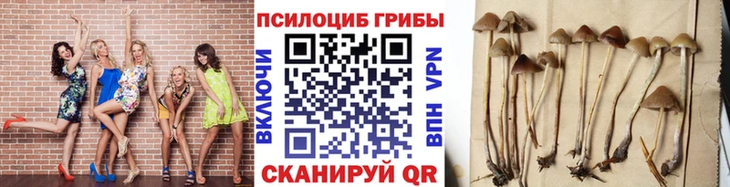 Галлюциногенные грибы мухоморы  Купить закладки  Ковдор 